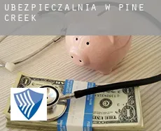 Ubezpieczalnia w  Pine Creek