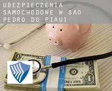 Ubezpieczenia samochodowe w  São Pedro do Piauí