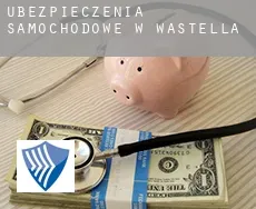 Ubezpieczenia samochodowe w  Wastella