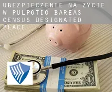 Ubezpieczenie na życie w  Pulpotio Bareas
