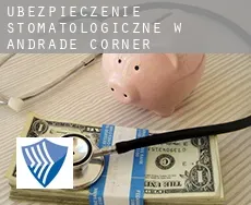 Ubezpieczenie stomatologiczne w  Andrade Corner
