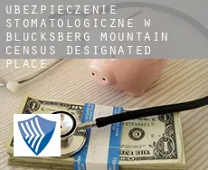 Ubezpieczenie stomatologiczne w  Blucksberg Mountain
