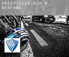 Ubezpieczalnia w  Newfane