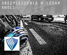 Ubezpieczenia w  Cedar Knoll