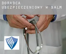 Doradca ubezpieczeniowy w  Balm