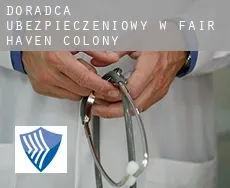 Doradca ubezpieczeniowy w  Fair Haven Colony