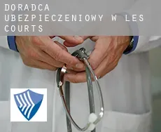 Doradca ubezpieczeniowy w  Les Courts