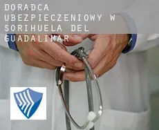Doradca ubezpieczeniowy w  Sorihuela del Guadalimar