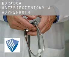 Doradca ubezpieczeniowy w  Woppenroth
