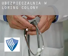 Ubezpieczalnia w  Loring Colony