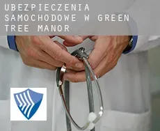 Ubezpieczenia samochodowe w  Green Tree Manor