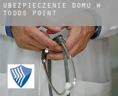 Ubezpieczenie domu w  Todds Point