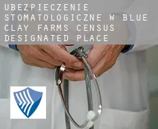 Ubezpieczenie stomatologiczne w  Blue Clay Farms