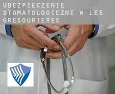 Ubezpieczenie stomatologiczne w  Les Grésourières