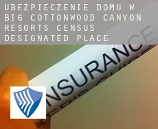 Ubezpieczenie domu w  Big Cottonwood Canyon Resorts