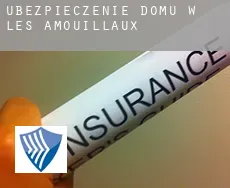 Ubezpieczenie domu w  Les Amouillaux