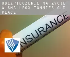 Ubezpieczenie na życie w  Smallpox Tommies Old Place