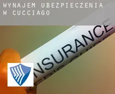 Wynajem ubezpieczenia w  Cucciago