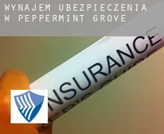 Wynajem ubezpieczenia w  Peppermint Grove