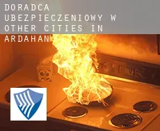 Doradca ubezpieczeniowy w Other cities in Ardahan