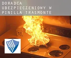 Doradca ubezpieczeniowy w  Pinilla Trasmonte