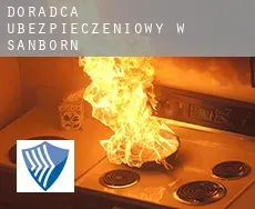 Doradca ubezpieczeniowy w  Sanborn