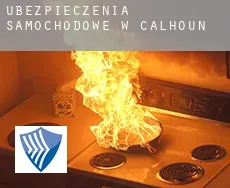 Ubezpieczenia samochodowe w  Calhoun