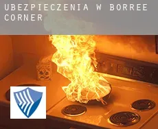 Ubezpieczenia w  Borree Corner