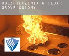 Ubezpieczenia w  Cedar Grove Colony
