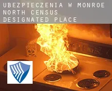 Ubezpieczenia w  Monroe North