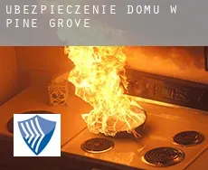 Ubezpieczenie domu w Pine Grove