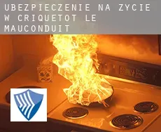 Ubezpieczenie na życie w  Criquetot-le-Mauconduit