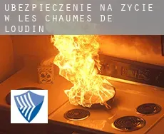Ubezpieczenie na życie w  Les Chaumes-de-Loudin