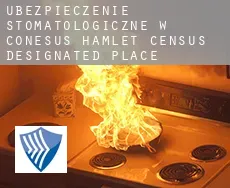 Ubezpieczenie stomatologiczne w  Conesus Hamlet