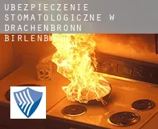Ubezpieczenie stomatologiczne w  Drachenbronn-Birlenbach