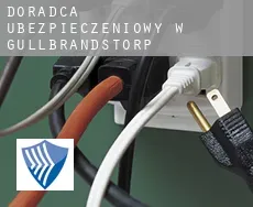 Doradca ubezpieczeniowy w  Gullbrandstorp