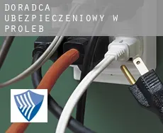 Doradca ubezpieczeniowy w  Proleb