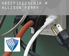 Ubezpieczalnia w  Allison Ferry