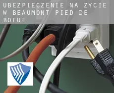 Ubezpieczenie na życie w  Beaumont-Pied-de-Bœuf