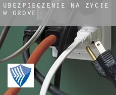 Ubezpieczenie na życie w Grove