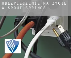 Ubezpieczenie na życie w  Spout Springs