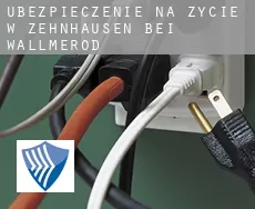 Ubezpieczenie na życie w  Zehnhausen bei Wallmerod