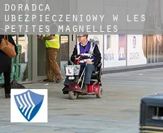 Doradca ubezpieczeniowy w  Les Petites Magnelles