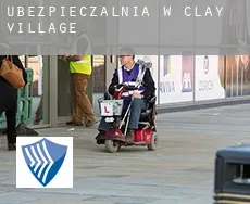 Ubezpieczalnia w  Clay Village