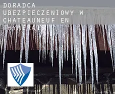 Doradca ubezpieczeniowy w  Châteauneuf-en-Thymerais