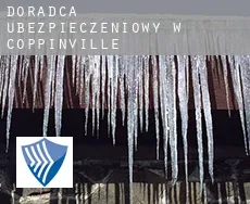 Doradca ubezpieczeniowy w  Coppinville