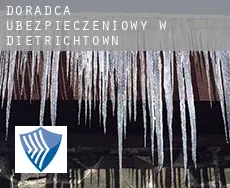 Doradca ubezpieczeniowy w  Dietrichtown