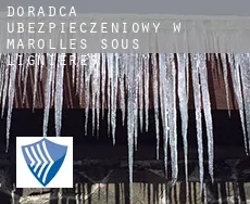 Doradca ubezpieczeniowy w Marolles-sous-Lignières