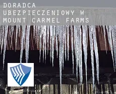 Doradca ubezpieczeniowy w  Mount Carmel Farms