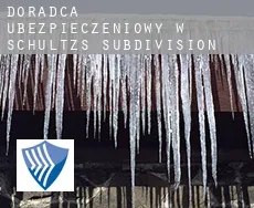 Doradca ubezpieczeniowy w  Schultz's Subdivision